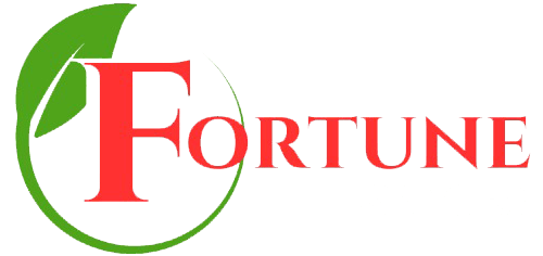 FORTUNE SPACES LOGO 2